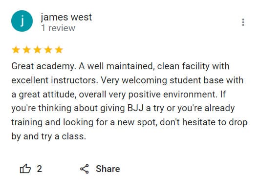 Adult BJJ training